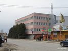 Burza práce