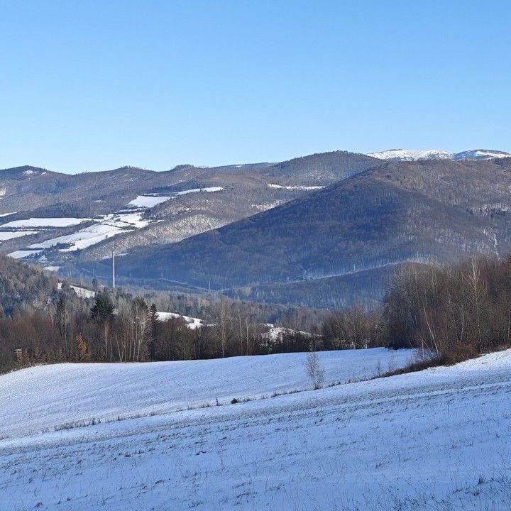 Fotka - 28. ročník zimného výstupu na Repisko