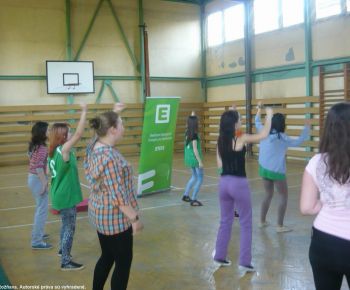 Spojena skola