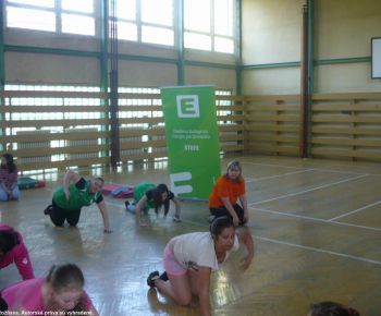 Spojena skola
