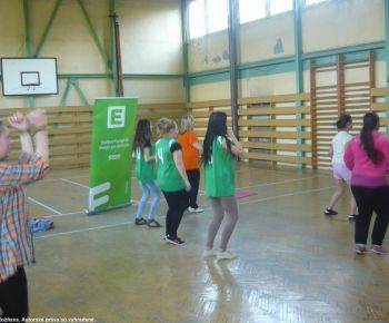 Spojena skola