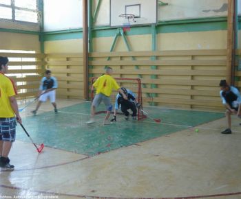 Spojena skola