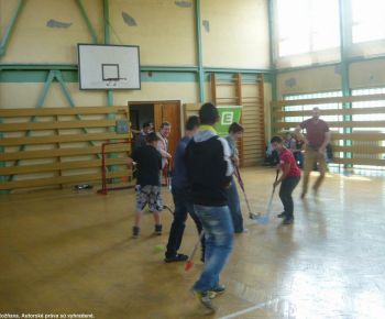 Spojena skola