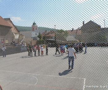 Čo sa hýbe, to je živé