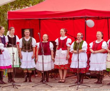 OZ Haviar – Rožňava, vyhodnotenie činnosti