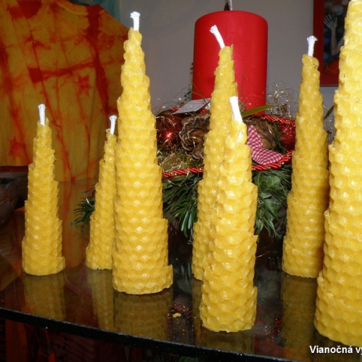 Vianočná výstava 2011