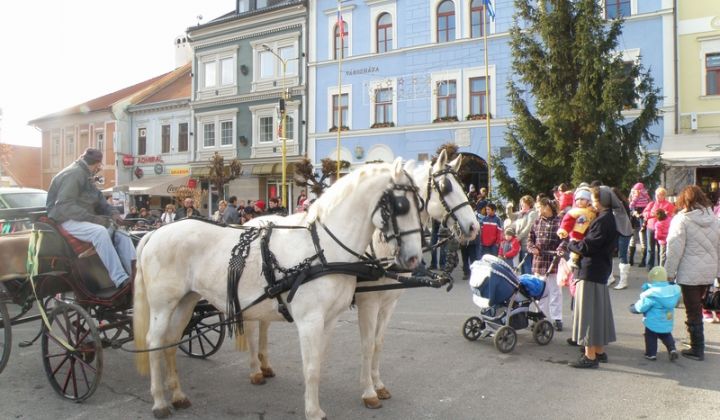Mikuláš 2011 Mikuláš 2011