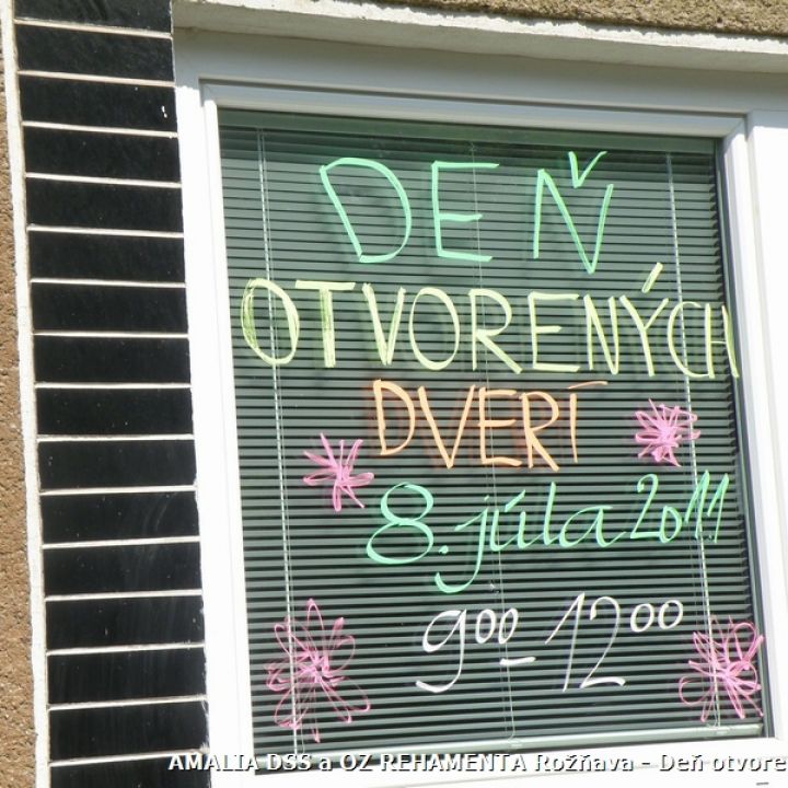DOD v AMALII DSS - 2011