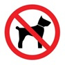 ikona zakaz so psom