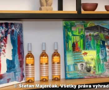 Spravodajstvo z podujatí / Novembrové stretnutie nadaných Gemerčanov - foto