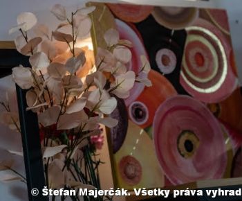 Spravodajstvo z podujatí / Novembrové stretnutie nadaných Gemerčanov - foto
