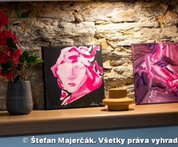 Spravodajstvo z podujatí / Novembrové stretnutie nadaných Gemerčanov - foto