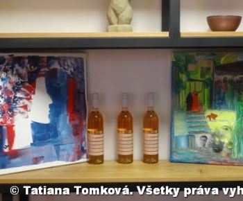 Spravodajstvo z podujatí / Novembrové stretnutie nadaných Gemerčanov - foto