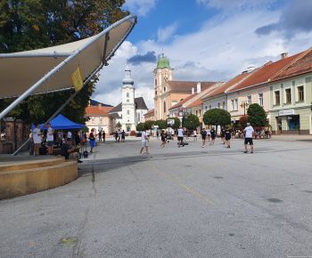 Spravodajstvo z podujatí / Basketbalový klub BK ŠPD - záverečná správa  - foto