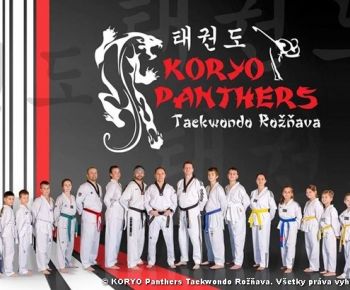 Spravodajstvo z podujatí / Záverečná správa o činnosti klubu KORYO Panthers Taekwondo Rožňava - foto