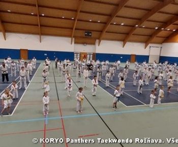 Spravodajstvo z podujatí / Záverečná správa o činnosti klubu KORYO Panthers Taekwondo Rožňava - foto