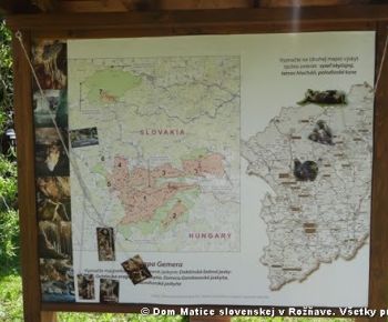 Spravodajstvo z podujatí / Záhrada plná kníh - foto