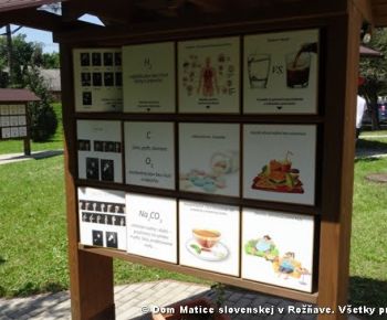 Spravodajstvo z podujatí / Záhrada plná kníh - foto