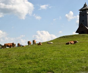 Spravodajstvo z podujatí / DESTINÁCIA MURÁNSKA PLANINA ODHAĽUJE SVOJU NOVÚ VIZUÁLNU IDENTITU - foto