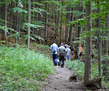 Spravodajstvo z podujatí / DESTINÁCIA MURÁNSKA PLANINA ODHAĽUJE SVOJU NOVÚ VIZUÁLNU IDENTITU - foto