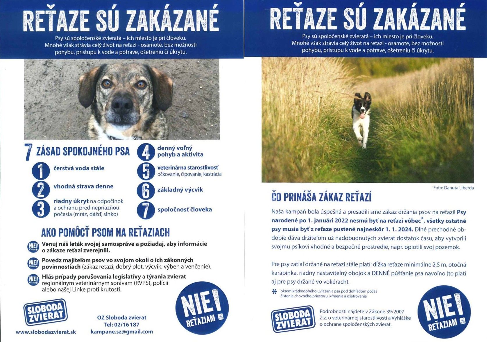 zakaz drzania psa na retaziach - obrazok