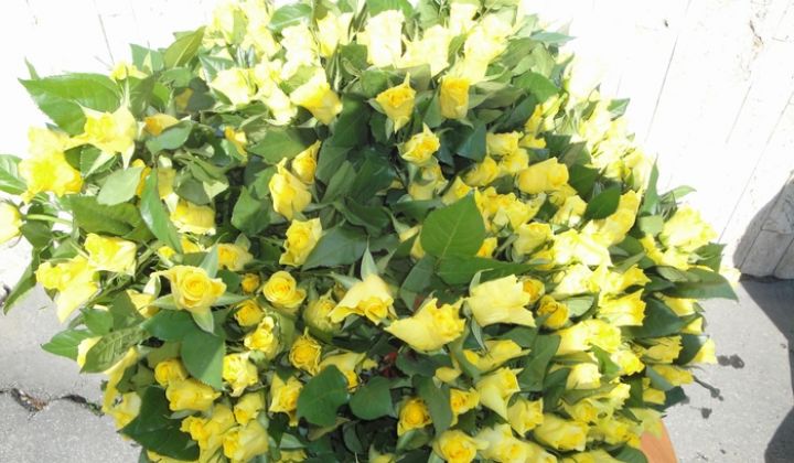 Deň Európy 2011 Deň Európy 2011