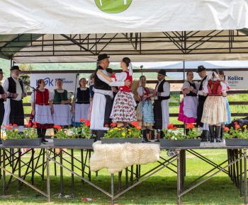 Spravodajstvo z podujatí / Záverečná správa o činnosti OZ Haviar – Rožňava - foto