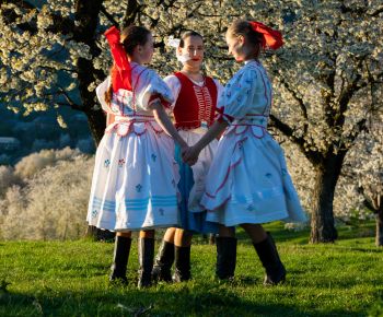 Spravodajstvo z podujatí / Záverečná správa o činnosti OZ Haviar – Rožňava - foto