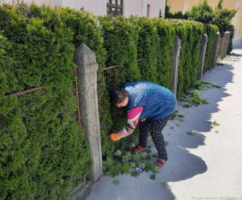 Akcie v dennom centre rok 2025 / Brigáda v Dennom Centre - foto