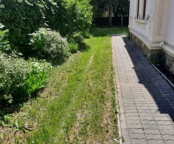 Akcie v dennom centre rok 2025 / Brigáda v Dennom Centre - foto