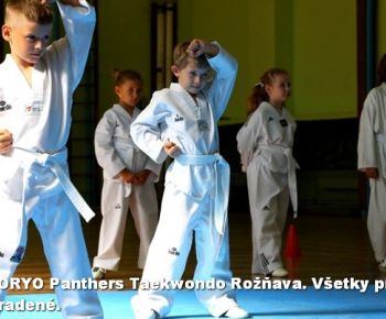 Spravodajstvo z podujatí / Záverečná správa o činnosti klubu KORYO Panthers Taekwondo Rožňava za rok 2024 - foto