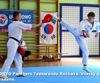 Spravodajstvo z podujatí / Záverečná správa o činnosti klubu KORYO Panthers Taekwondo Rožňava za rok 2024 - foto