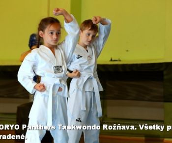 Spravodajstvo z podujatí / Záverečná správa o činnosti klubu KORYO Panthers Taekwondo Rožňava za rok 2024 - foto