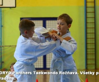 Spravodajstvo z podujatí / Záverečná správa o činnosti klubu KORYO Panthers Taekwondo Rožňava za rok 2024 - foto