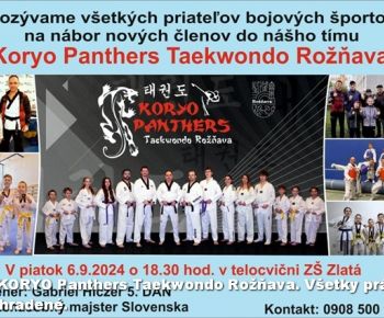 Spravodajstvo z podujatí / Záverečná správa o činnosti klubu KORYO Panthers Taekwondo Rožňava za rok 2024 - foto