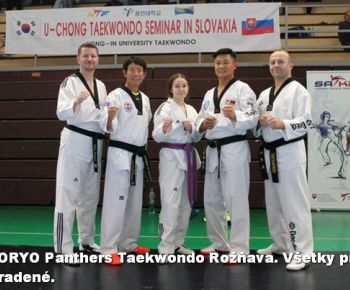 Spravodajstvo z podujatí / Záverečná správa o činnosti klubu KORYO Panthers Taekwondo Rožňava za rok 2024 - foto