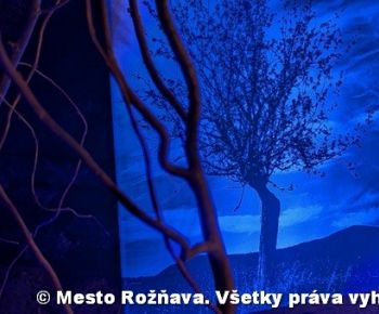 Spravodajstvo z podujatí / Záverečná správa projektu – Výstava fotografií Premeny v bytí 2024 - foto