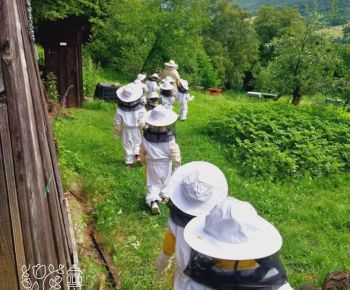 Spravodajstvo z podujatí / Záverečná správa o projekte 