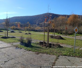 Spravodajstvo z podujatí / Výsadba drevín na dopravnom ihrisku - foto