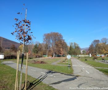 Spravodajstvo z podujatí / Výsadba drevín na dopravnom ihrisku - foto