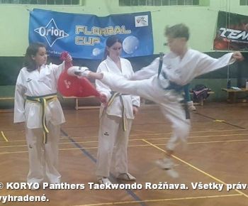 Spravodajstvo z podujatí / Záverečná správa o činnosti klubu KORYO Panthers Taekwondo Rožňava za rok 2025 - foto