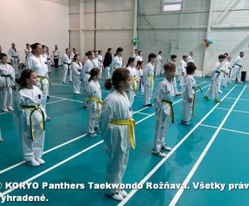 Spravodajstvo z podujatí / Záverečná správa o činnosti klubu KORYO Panthers Taekwondo Rožňava za rok 2025 - foto