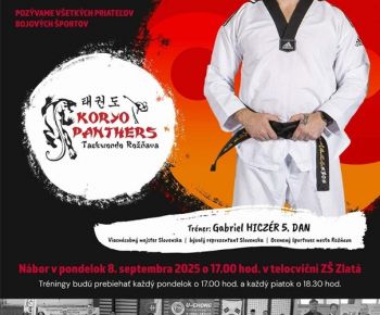 Spravodajstvo z podujatí / Záverečná správa o činnosti klubu KORYO Panthers Taekwondo Rožňava za rok 2025 - foto