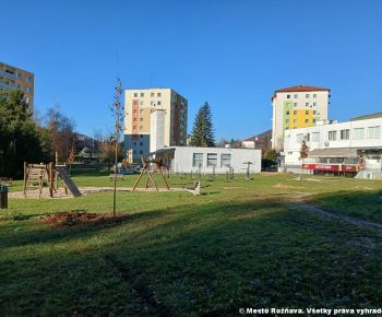 Aktuálne v meste / Strom rodiny 2025 - foto