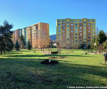 Aktuálne v meste / Strom rodiny 2025 - foto