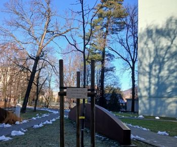 Aktuálne v meste / Strom rodiny 2025 - foto