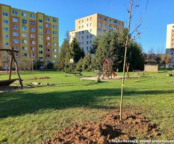Aktuálne v meste / Strom rodiny 2025 - foto