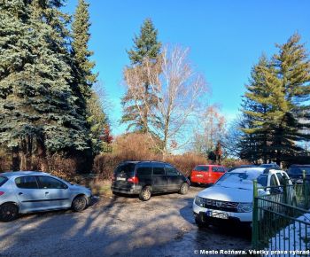 Aktuálne v meste / Strom rodiny 2025 - foto