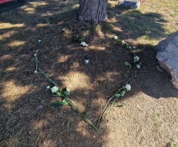 Spravodajstvo z podujatí / Deň obetí pandémie COVID-19 - foto