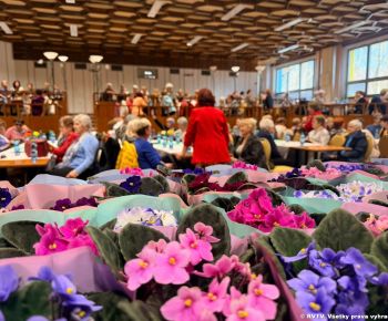 Spravodajstvo z podujatí / Medzinárodný deň žien  - foto